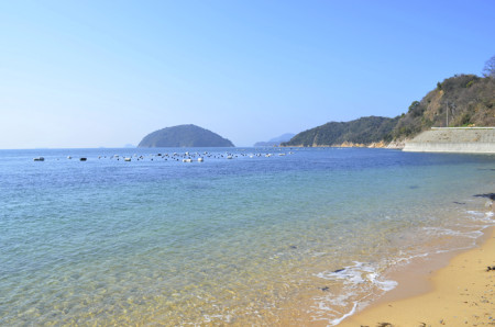 静かな島のミニサイクリングで瀬戸内の自然を堪能する。｜地元ガイドの