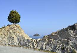 津和地島でサイクリング