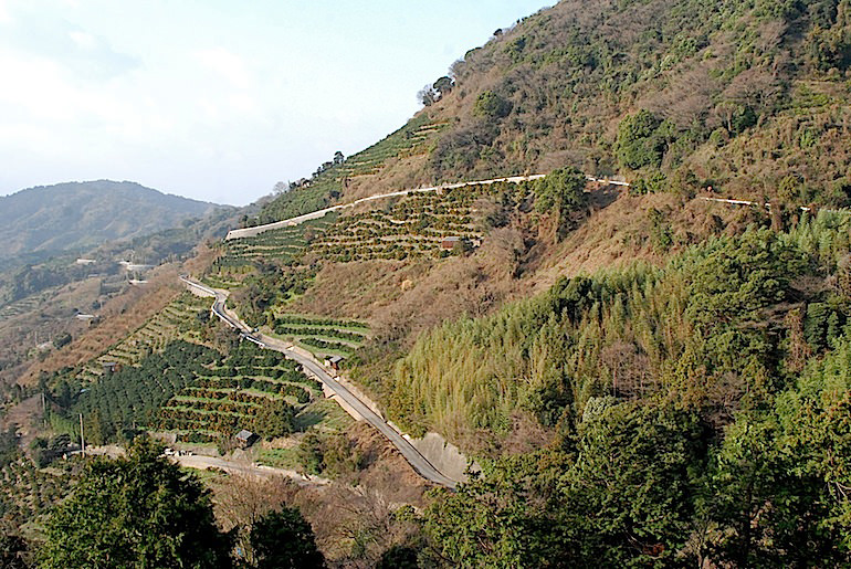 中島