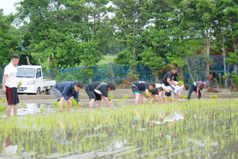 北条田植え