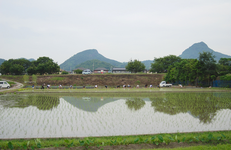 北条田植え