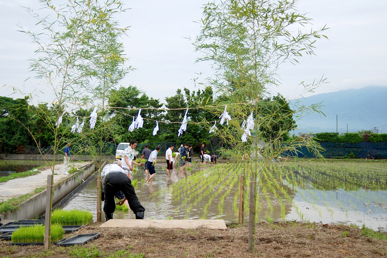北条田植え