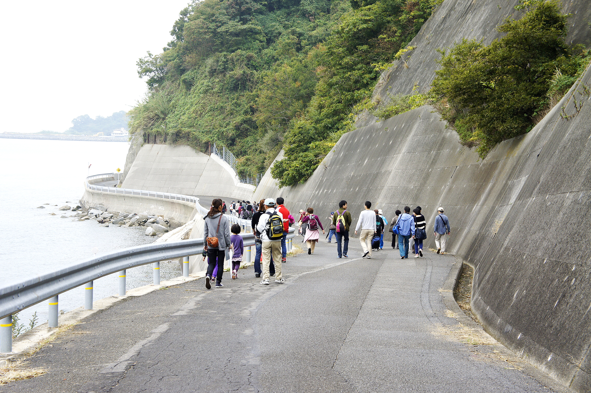 興居島