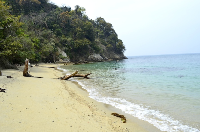 安居島