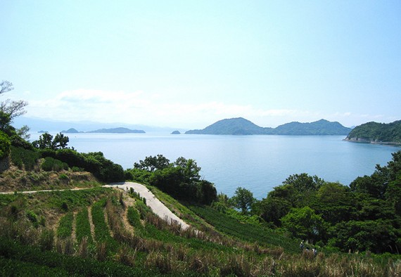 自然の豊かさやそして島人の心の温かさに触れる事ができる。