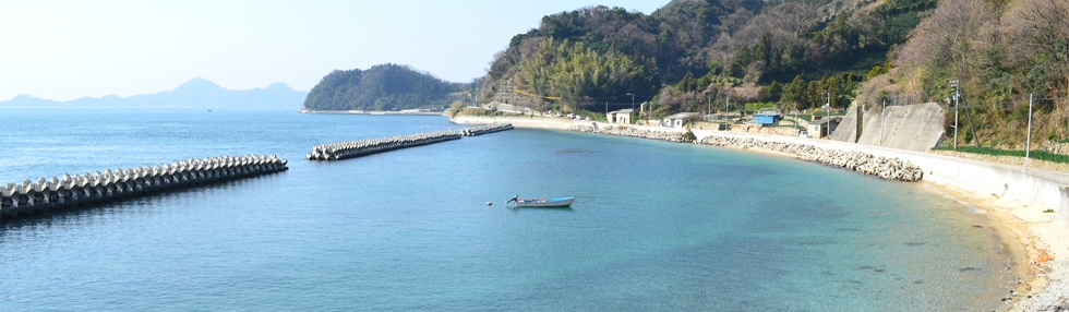 海と山がきれいな島、怒和島（ぬわじま）で癒される