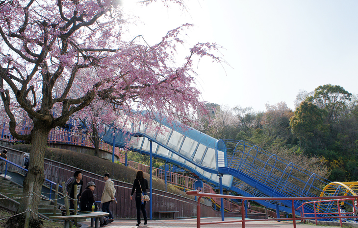 松山総合公園