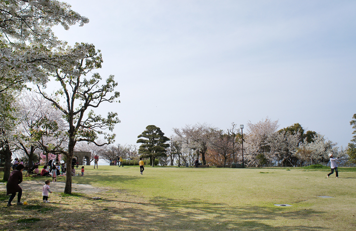 松山総合公園