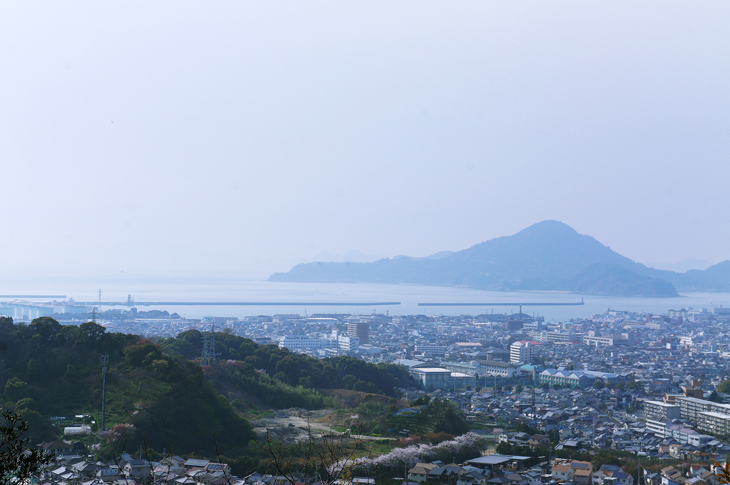 松山総合公園
