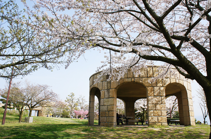 松山総合公園