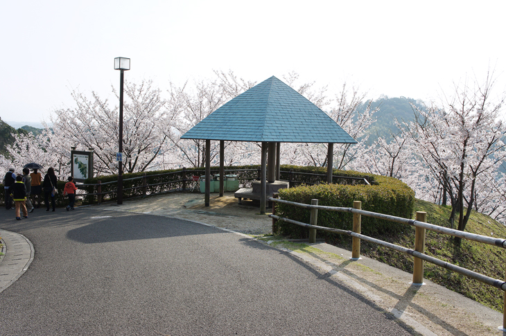 松山総合公園