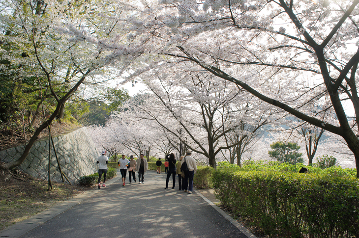 松山総合公園