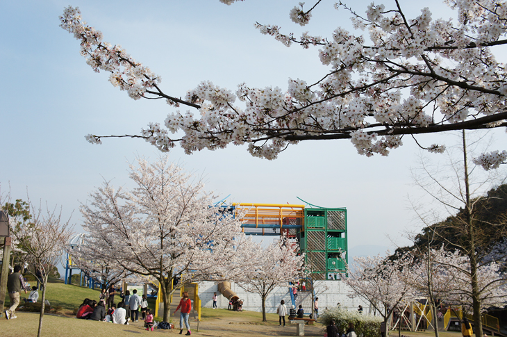 松山総合公園