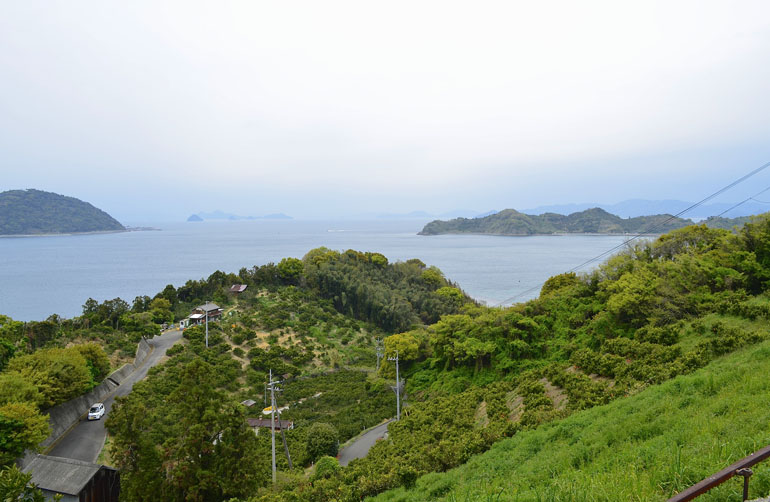 興居島
