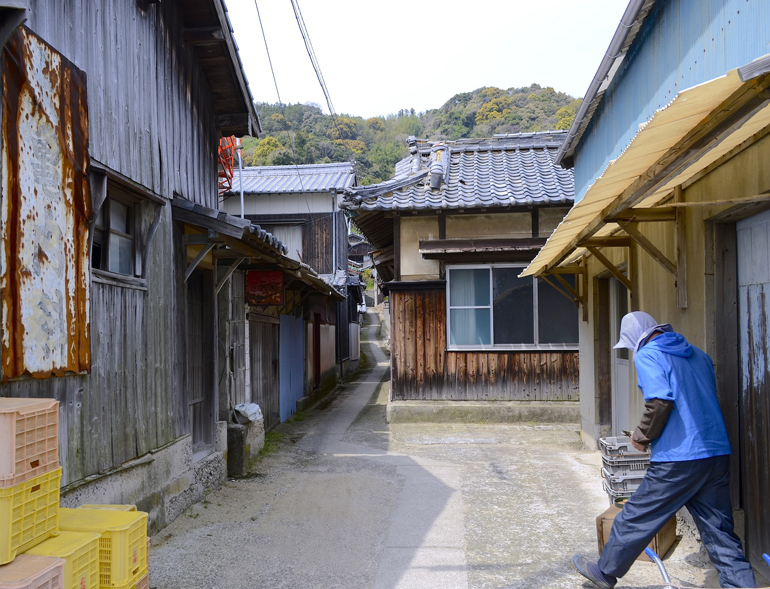 睦月島お大師巡り