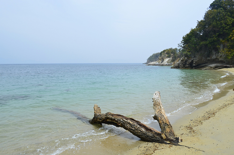 安居島