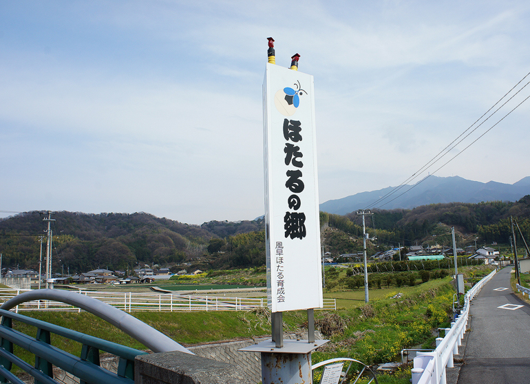 ホタルの幼虫放流