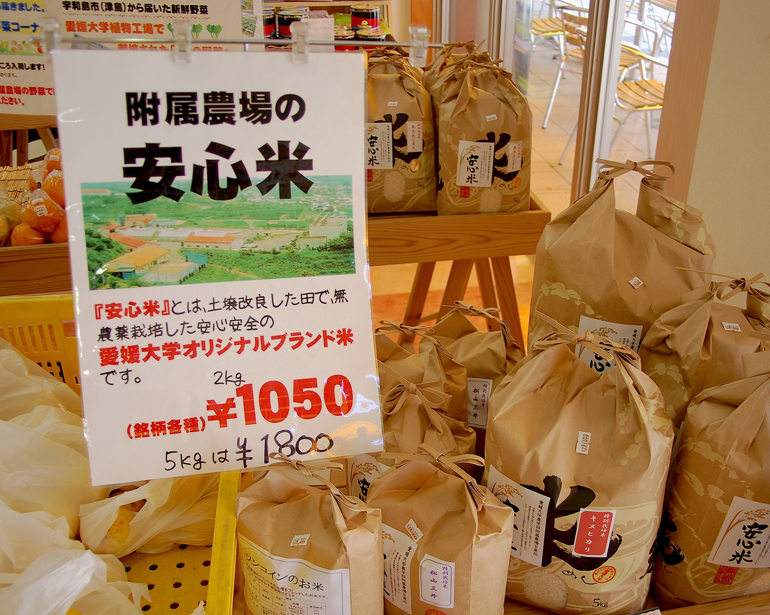 愛大ショップえみか
