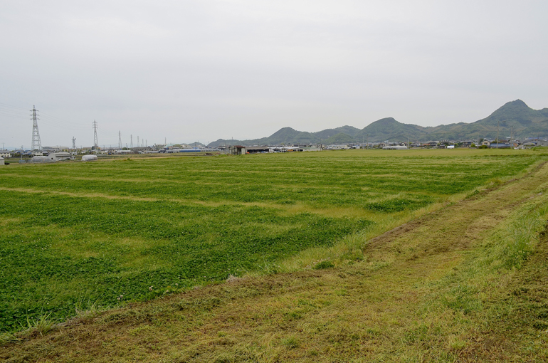 愛大ショップえみか