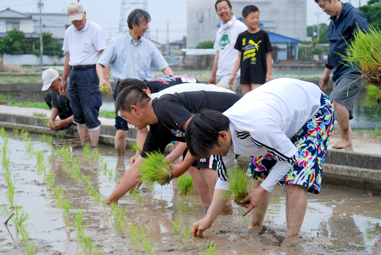 北条田植え