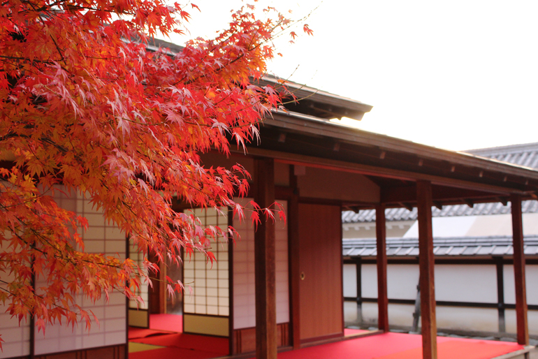 二之丸史跡庭園紅葉