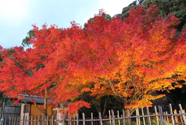 二之丸史跡庭園紅葉