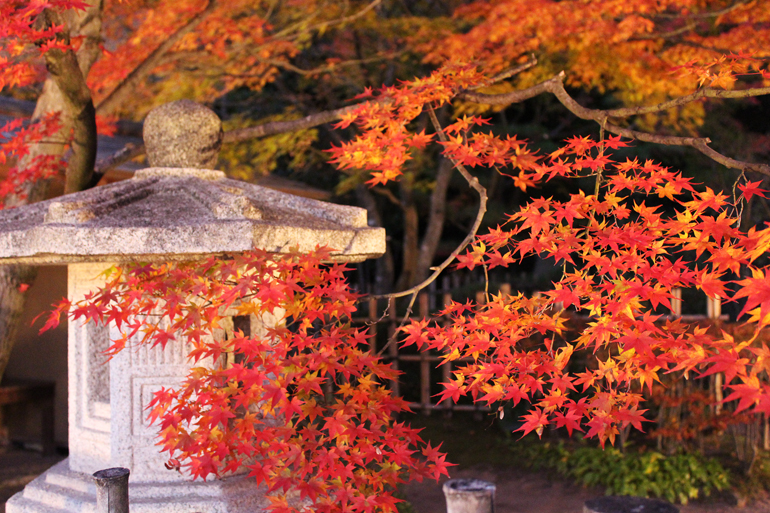 二之丸史跡庭園紅葉
