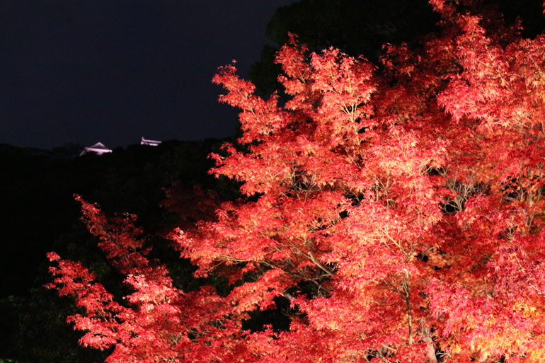 二之丸史跡庭園紅葉