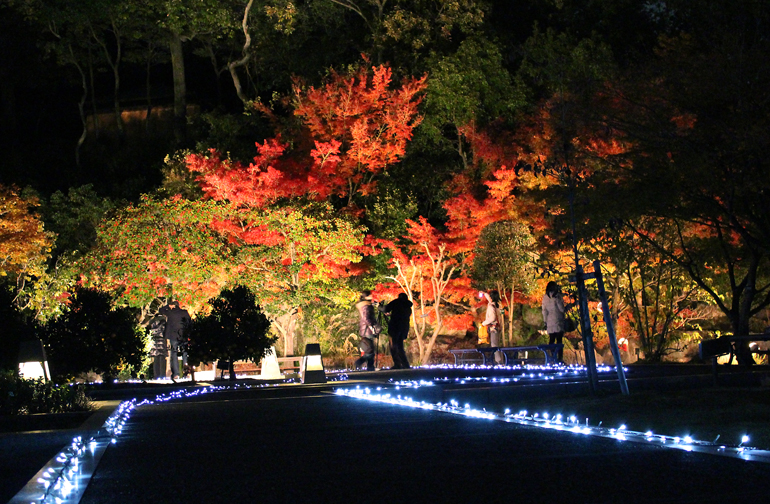 二之丸史跡庭園紅葉