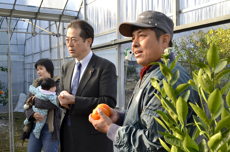 紅まどんな生産者視察