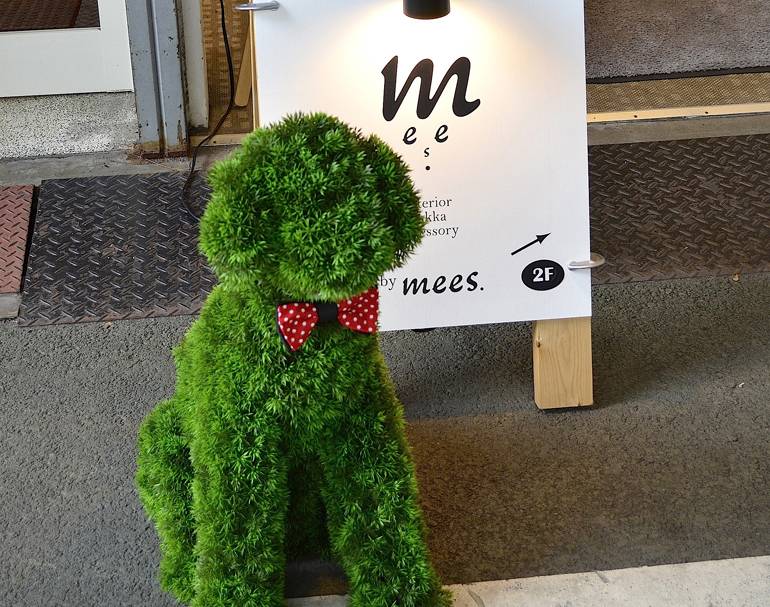 mees.