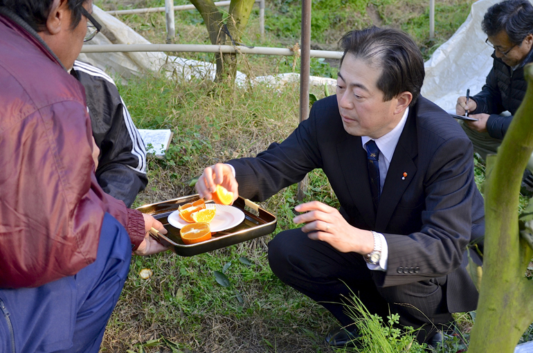 せとか生産者