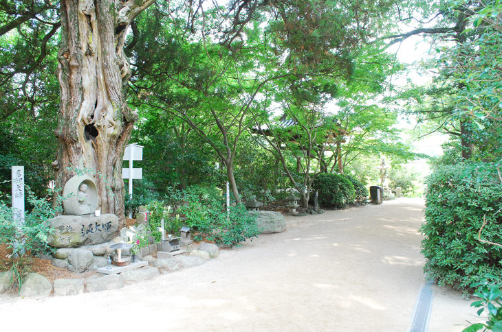 浄瑠璃寺