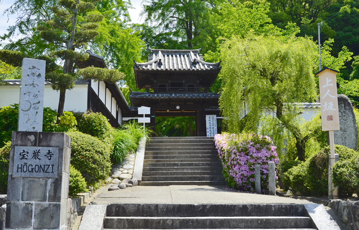 道後蚤の市
