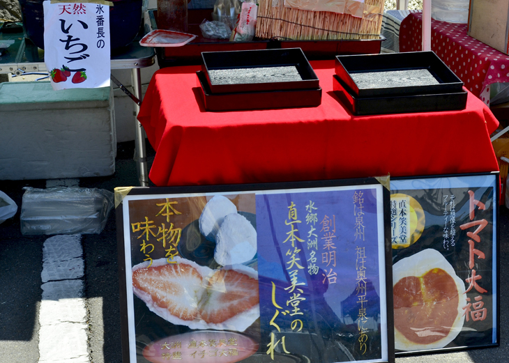 道後蚤の市