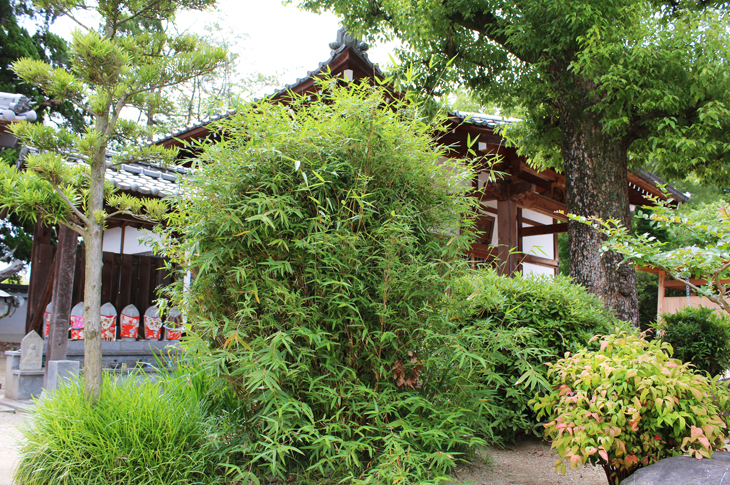 西林寺
