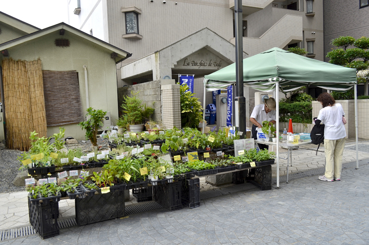 湯あがり朝市