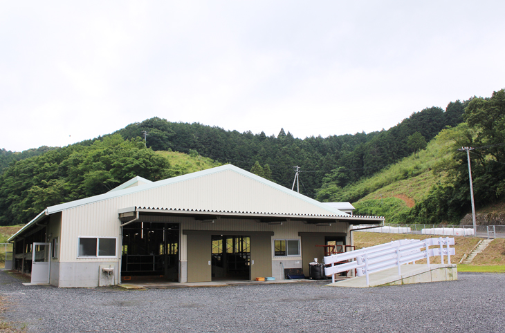 愛媛ブランド牛