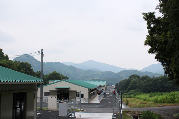 愛媛ブランド牛