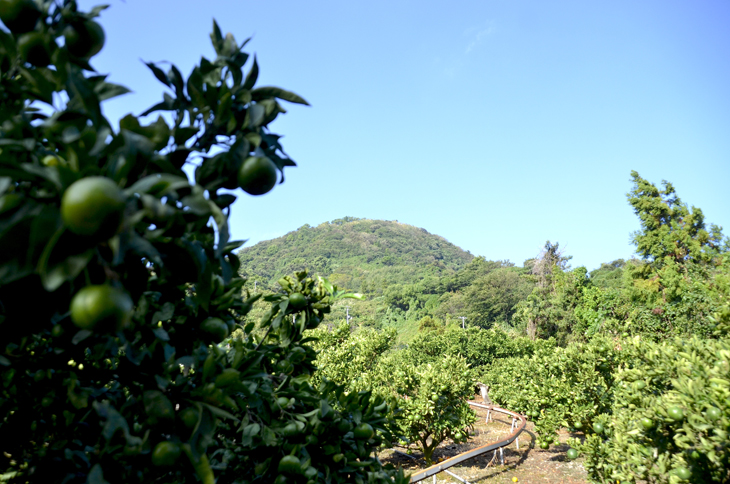 小富士山登山道完成