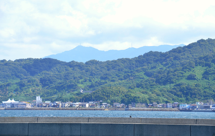 船踊りとウォーキングと祭り寿司