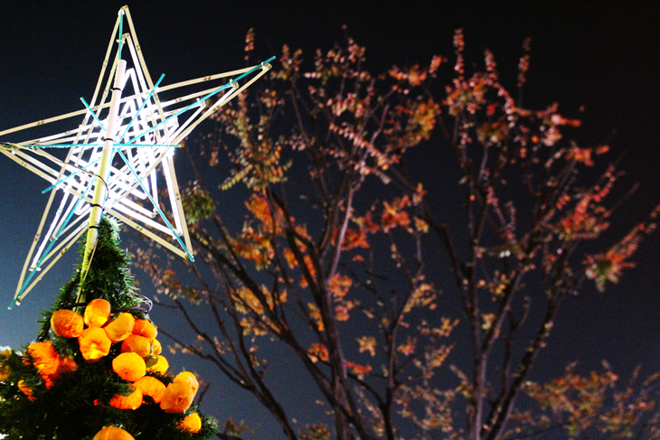 まつやま オレンジ クリスマス2014 in 新宿