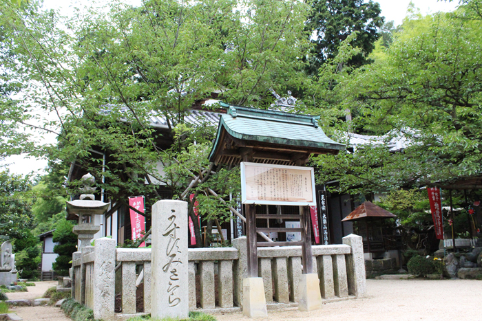 伊予十二薬師霊場第4番 天台宗 大楽山 西法寺
