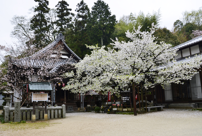 西法寺