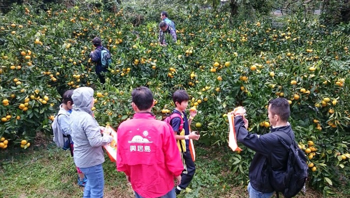 しまのわ学校 体育祭inごごしま